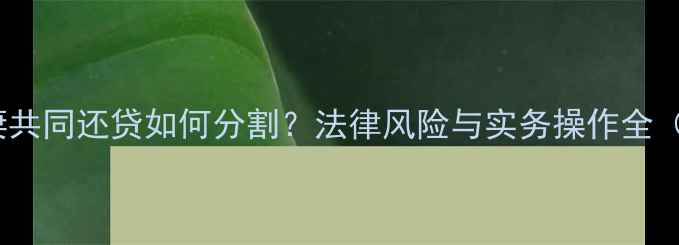 图片 二手房夫妻共同还贷如何分割？法律风险与实务操作全（附案例）1