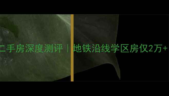 图片 俄罗斯风情园二手房深度测评｜地铁沿线学区房仅2万+！附避坑指南1