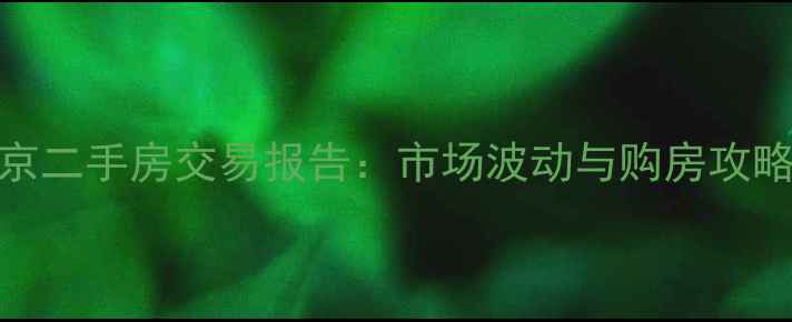 图片 北京二手房交易报告：市场波动与购房攻略全