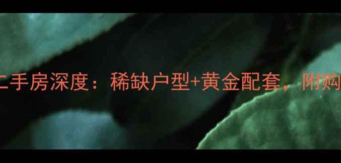 图片 小区东北角二手房深度：稀缺户型+黄金配套，附购房避坑指南1