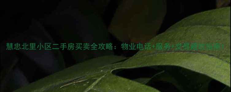 图片 慧忠北里小区二手房买卖全攻略：物业电话+服务+交易避坑指南1