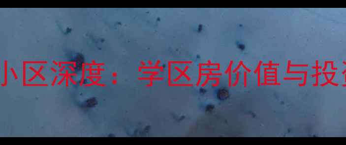 图片 烟台丹阳小区深度：学区房价值与投资潜力全1