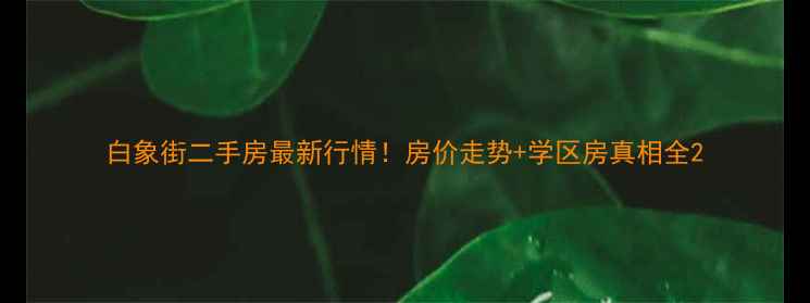 图片 白象街二手房最新行情！房价走势+学区房真相全2