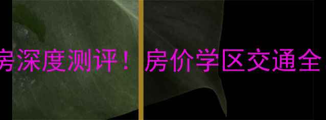 图片 郑州桐淮小区二手房深度测评！房价学区交通全，附最新房源清单1