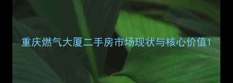 图片 重庆燃气大厦二手房市场现状与核心价值1