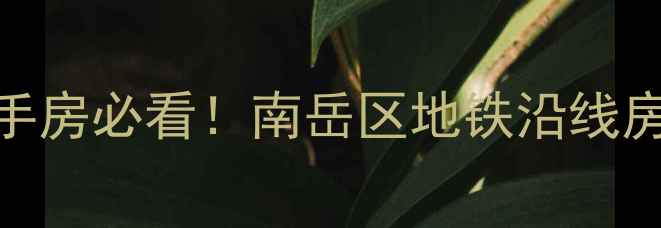 图片 🏠衡阳华新开发区二手房必看！南岳区地铁沿线房源深度+性价比指南1