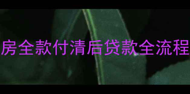 图片 ✨避坑指南二手房全款付清后贷款全流程（附真实案例）