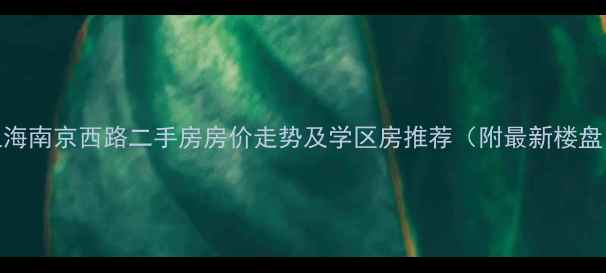 图片 上海南京西路二手房房价走势及学区房推荐（附最新楼盘）