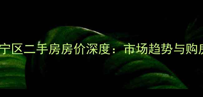 图片 上海长宁区二手房房价深度：市场趋势与购房指南2