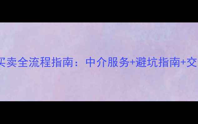 图片 二手房买卖全流程指南：中介服务+避坑指南+交易技巧1