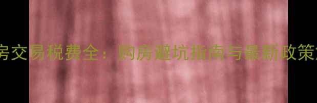 图片 二手房交易税费全：购房避坑指南与最新政策解读2