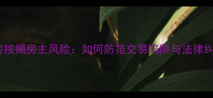 图片 二手房按揭房主风险：如何防范交易陷阱与法律纠纷？2