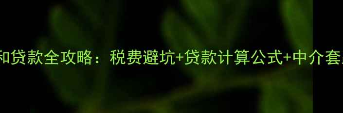 图片 二手房网签金额和贷款全攻略：税费避坑+贷款计算公式+中介套路大公开！🏠💰2