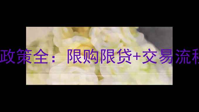图片 二手房购房政策全：限购限贷+交易流程+避坑指南