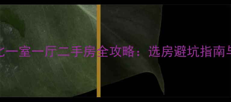 图片 北碚区高性价比一室一厅二手房全攻略：选房避坑指南与价格趋势分析