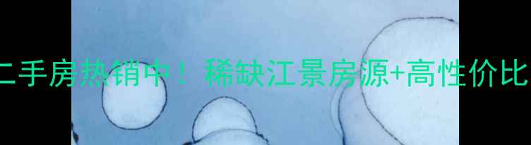 图片 吴江阿尔法公馆二手房热销中！稀缺江景房源+高性价比，附周边配套全2