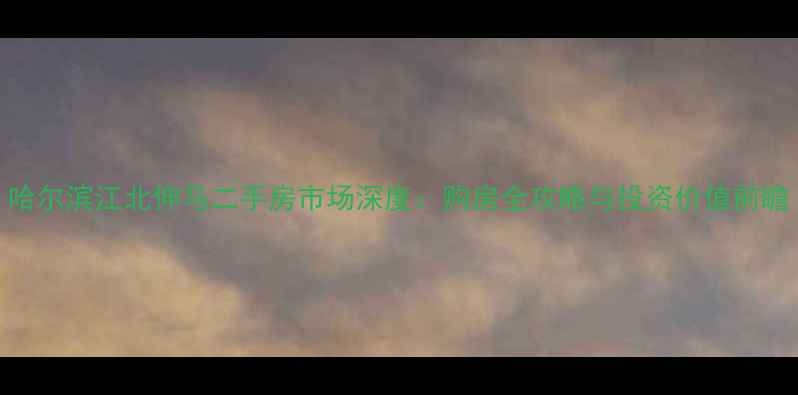 图片 哈尔滨江北伸马二手房市场深度：购房全攻略与投资价值前瞻