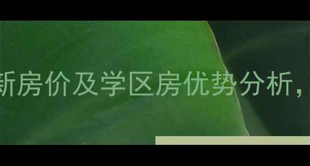 图片 均安上岛水岸二手房最新房价及学区房优势分析，附周边配套与投资指南