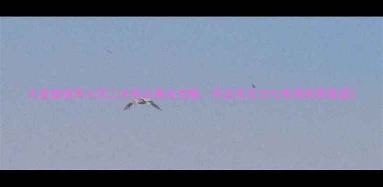 图片 大连鑫境界小区二手房出售全攻略：开发商实力与市场前景展望2