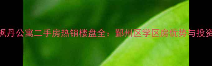 图片 宁波枫丹公寓二手房热销楼盘全：鄞州区学区房优势与投资价值
