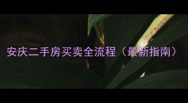 图片 安庆二手房买卖全流程（最新指南）