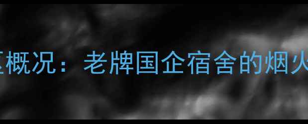 图片 小区概况：老牌国企宿舍的烟火气1