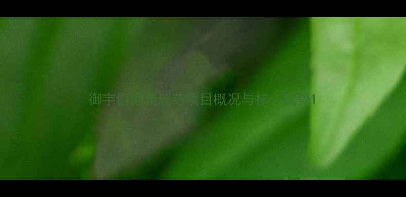 图片 御宇国际雅瑞苑项目概况与核心优势1