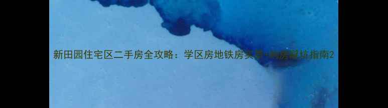 图片 新田园住宅区二手房全攻略：学区房地铁房实景+购房避坑指南2