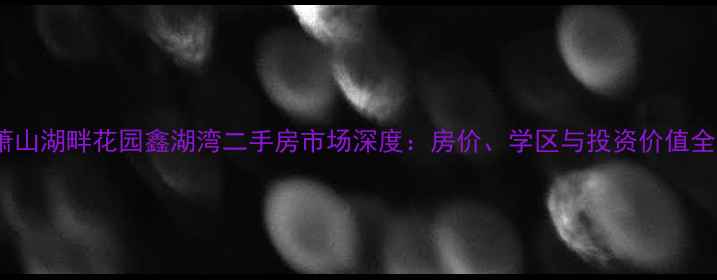 图片 杭州萧山湖畔花园鑫湖湾二手房市场深度：房价、学区与投资价值全指南2