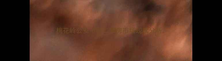 图片 桃花岭公安小区二手房市场现状分析2