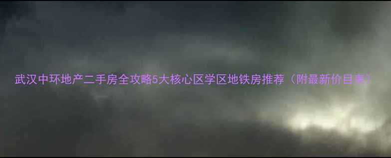 图片 武汉中环地产二手房全攻略5大核心区学区地铁房推荐（附最新价目表）