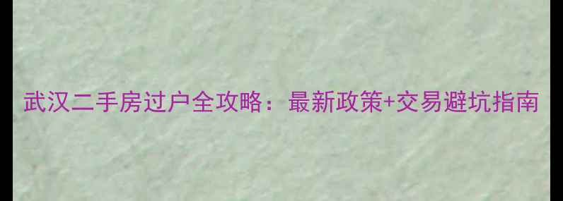 图片 武汉二手房过户全攻略：最新政策+交易避坑指南