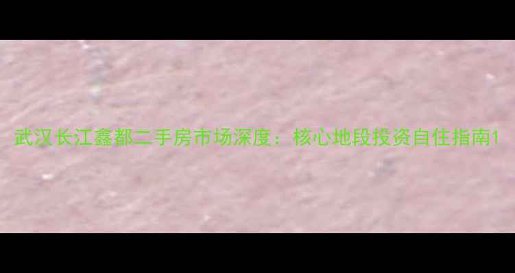 图片 武汉长江鑫都二手房市场深度：核心地段投资自住指南1