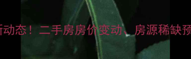 图片 济南市回民小区拆迁最新动态！二手房房价变动、房源稀缺预警，刚需族如何应对？2