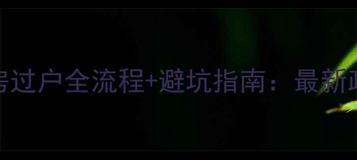 图片 海南乐东二手房过户全流程+避坑指南：最新政策与费用清单