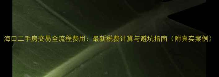 图片 海口二手房交易全流程费用：最新税费计算与避坑指南（附真实案例）