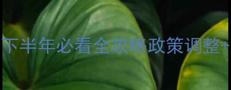 图片 海珠区二手房交易新动态｜下半年必看全攻略政策调整+热门楼盘+价格趋势全🏠💰1