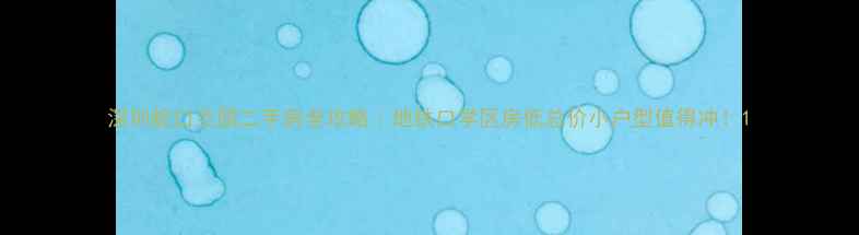 图片 深圳蛇口兰园二手房全攻略｜地铁口学区房低总价小户型值得冲！1
