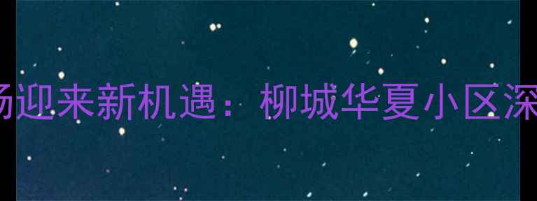 图片 温江二手房市场迎来新机遇：柳城华夏小区深度与购房指南1