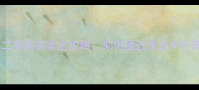 图片 甘肃西和县二手房买卖全攻略：如何通过专业中介高效成交？1