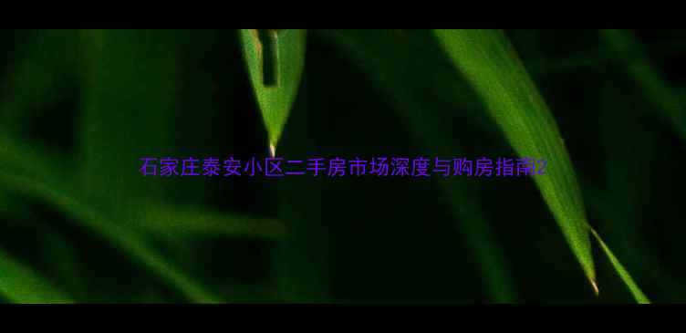 图片 石家庄泰安小区二手房市场深度与购房指南2