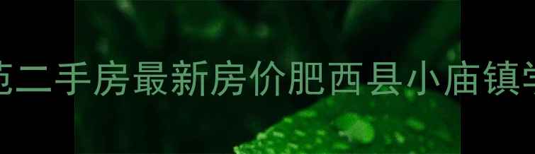 图片 肥西小庙美林苑二手房最新房价肥西县小庙镇学区房投资指南