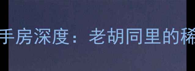 图片 胡厢使巷散盘二手房深度：老胡同里的稀缺资产投资指南