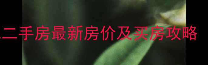图片 阜阳幸福时代二手房最新房价及买房攻略（10月数据）2