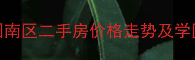 图片 青岛李沧区丰奥嘉园南区二手房价格走势及学区分析（最新数据）