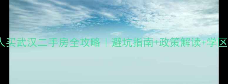 图片 🏠外地人买武汉二手房全攻略｜避坑指南+政策解读+学区房推荐1