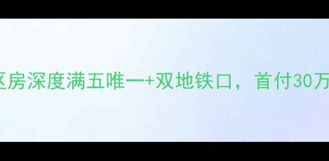 图片 🏠皋埠120㎡学区房深度满五唯一+双地铁口，首付30万起抄底红利期！