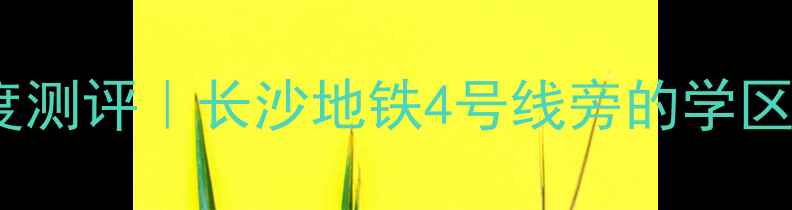 图片 🏷️星沙柏林晶城二手房深度测评｜长沙地铁4号线旁的学区地铁房，附最新购房攻略🏠2