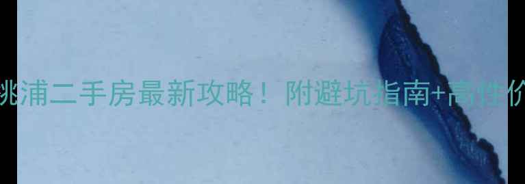 图片 💎上海普陀桃浦二手房最新攻略！附避坑指南+高性价比房源推荐