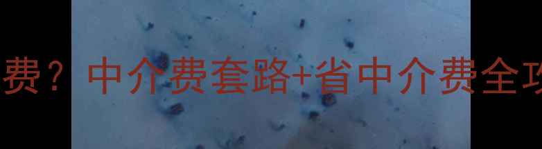 图片 💰卖二手房不付中介费？中介费套路+省中介费全攻略（附避坑指南）1